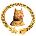 Collier chaîne dorée pour chien, maille cubaine