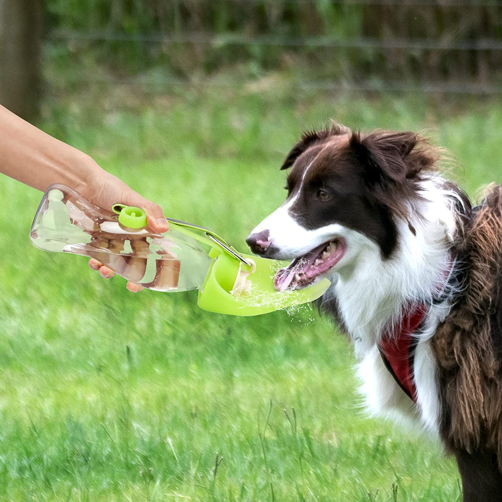 Distributeur d'eau portable pour animaux, sans fuite