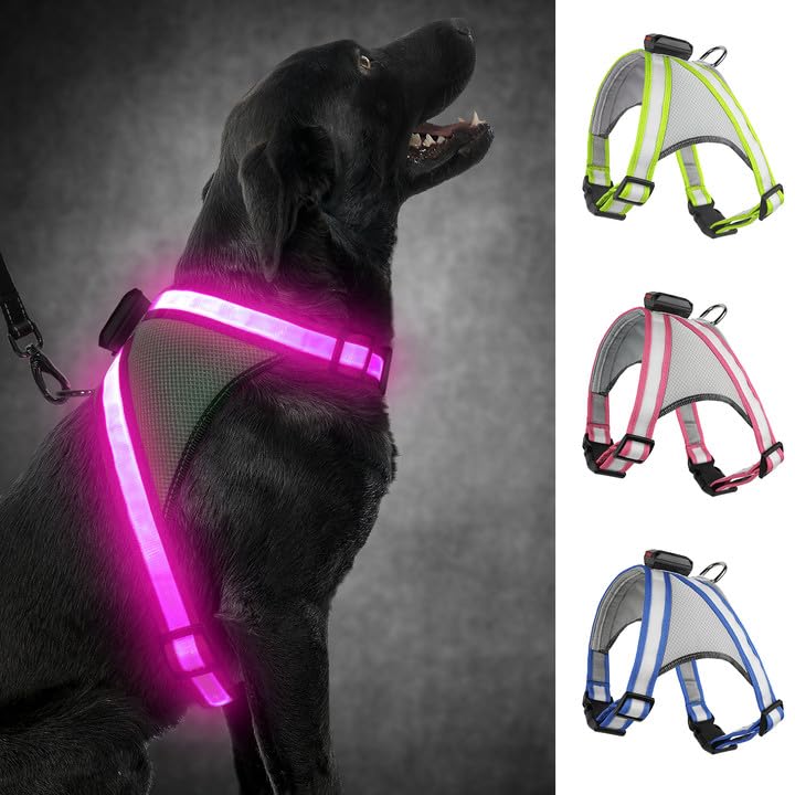 Veste harnais DEL pour chien, visibilité 360°
