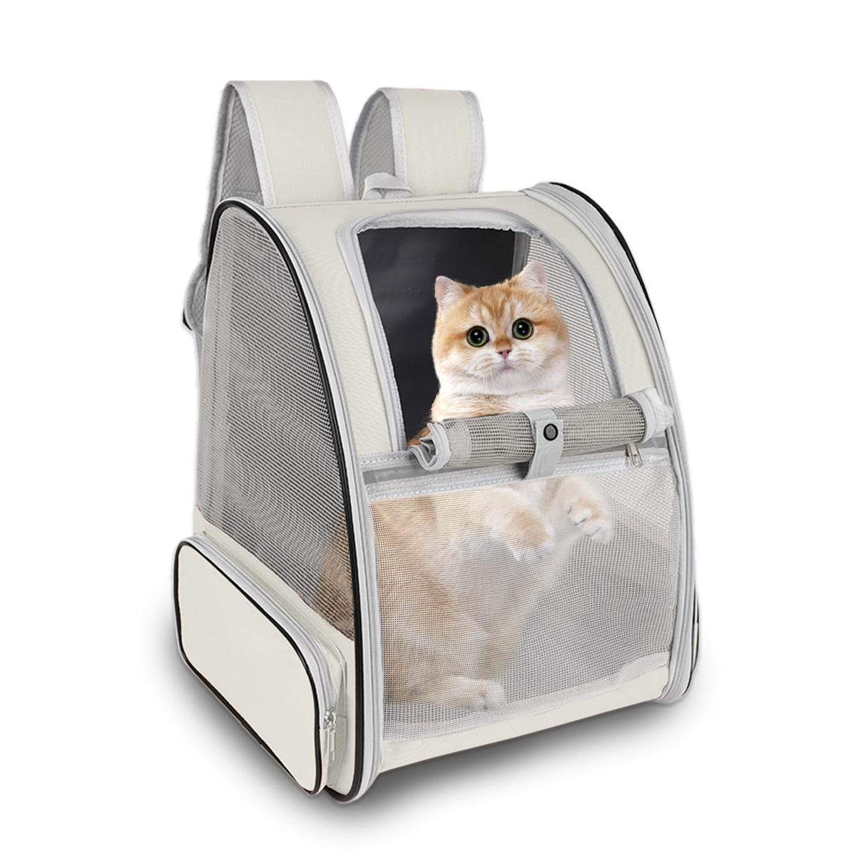 Sac à dos porte-chat, approuvé pour l'avion