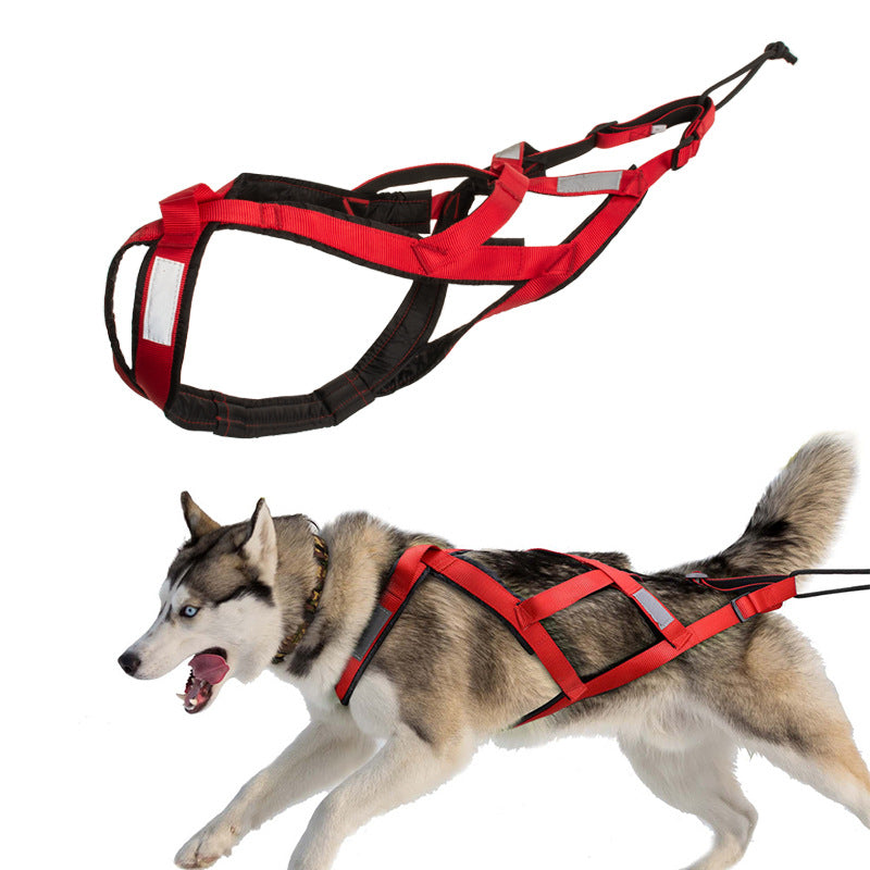 Harnais de traîneau pour chien, usage extérieur