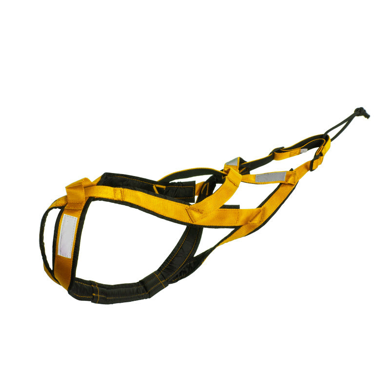 Harnais de traîneau pour chien, usage extérieur
