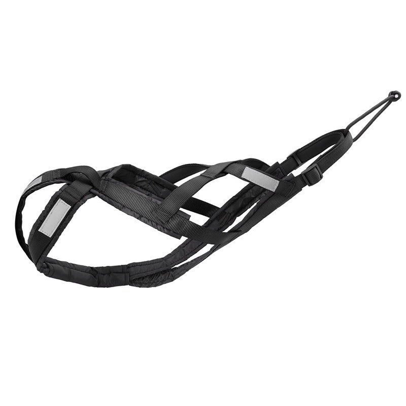 Harnais de traîneau pour chien, usage extérieur
