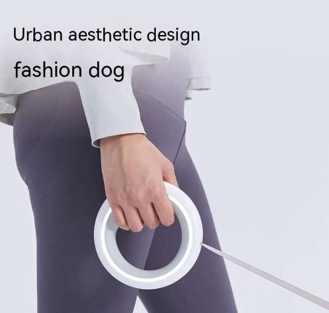 Laisse rétractable pour chien