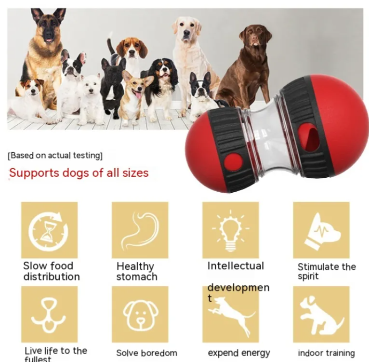 Distributeur de gâteries interactif pour chien