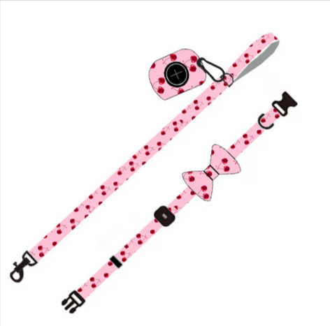 Ensemble laisse et harnais pour chien