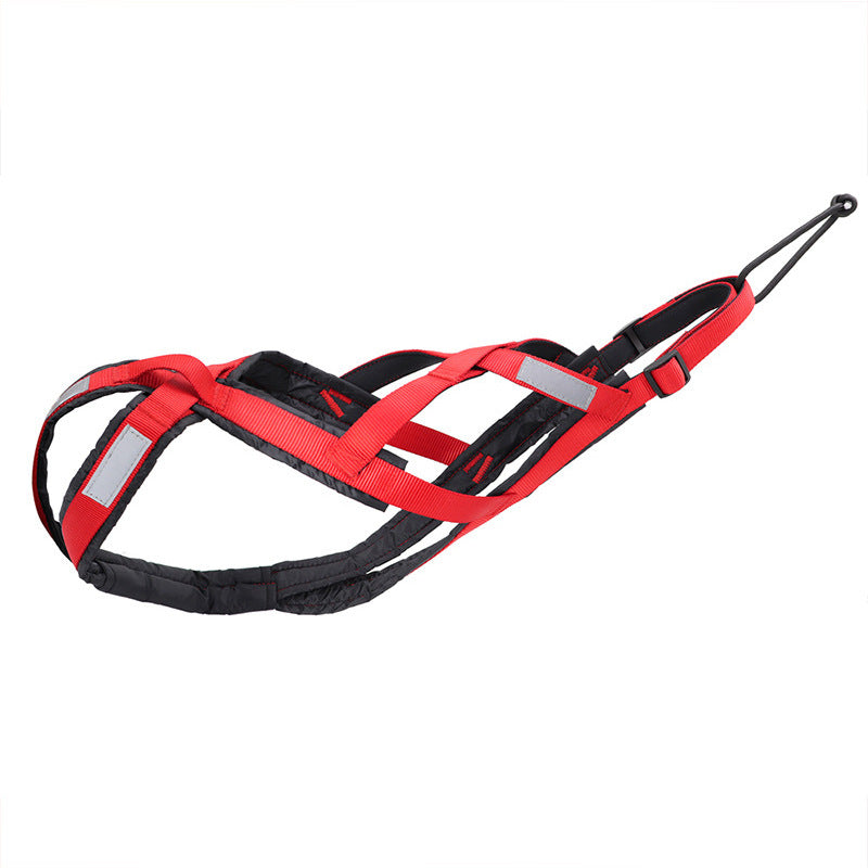 Harnais de traîneau pour chien, usage extérieur