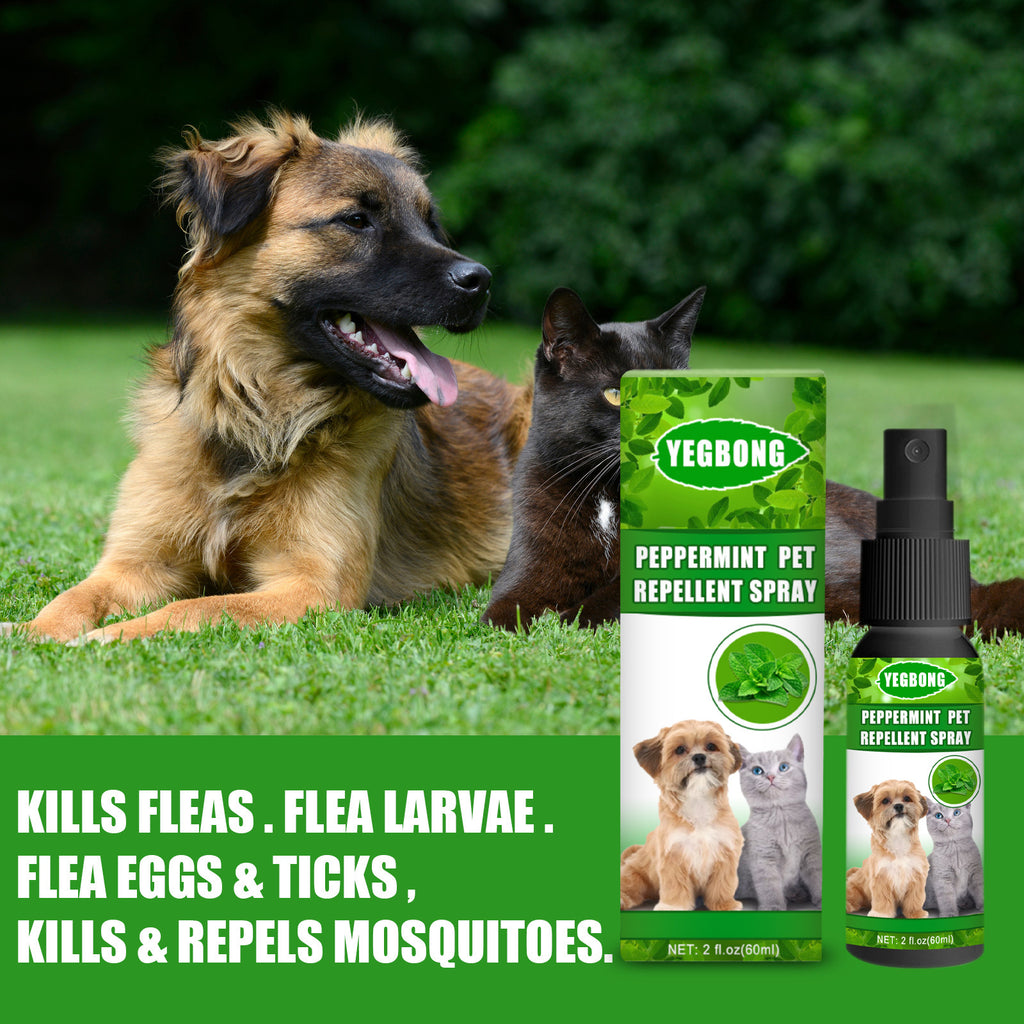 Vaporisateur anti-acariens à la menthe pour animaux, 60 ml