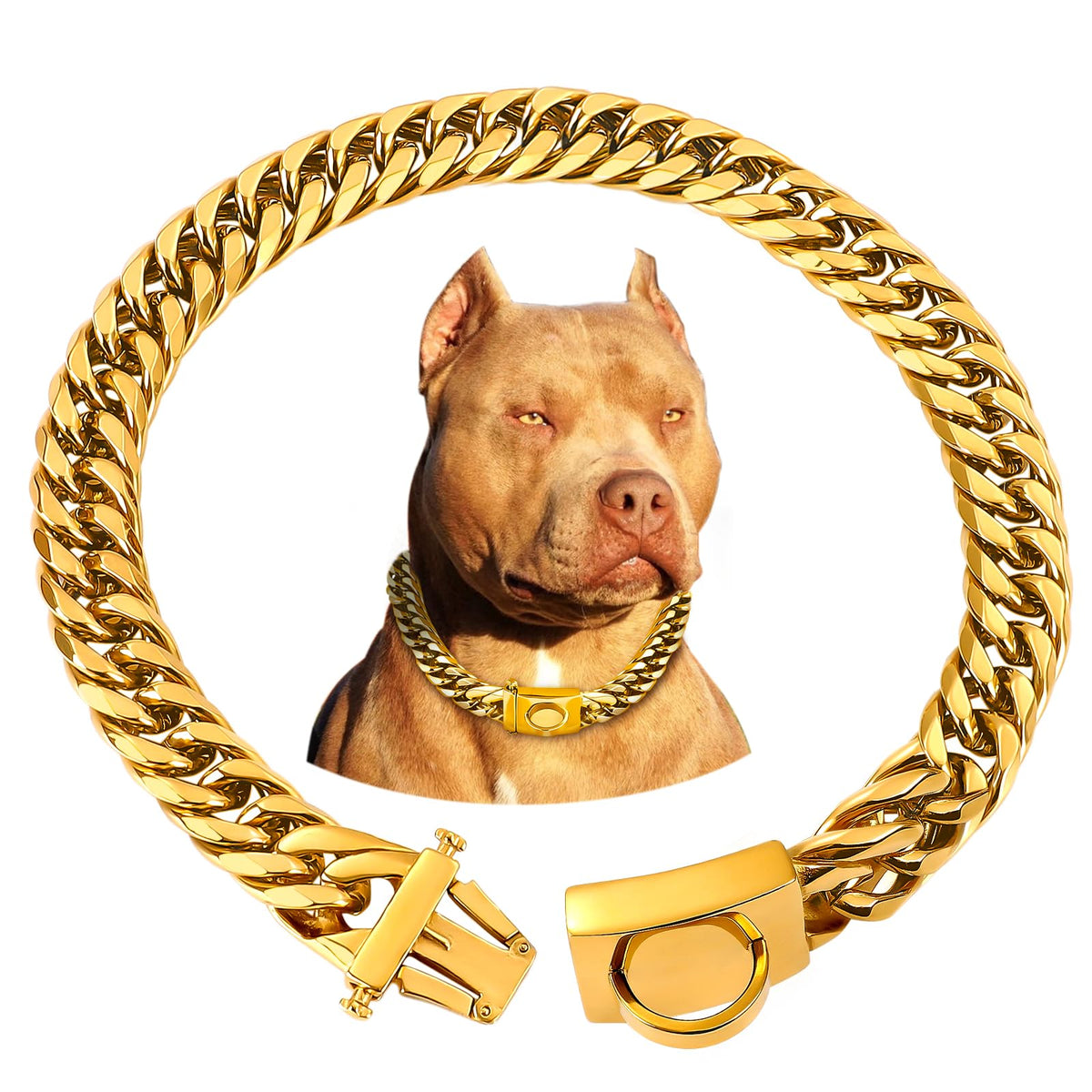 Collier chaîne dorée pour chien, maille cubaine