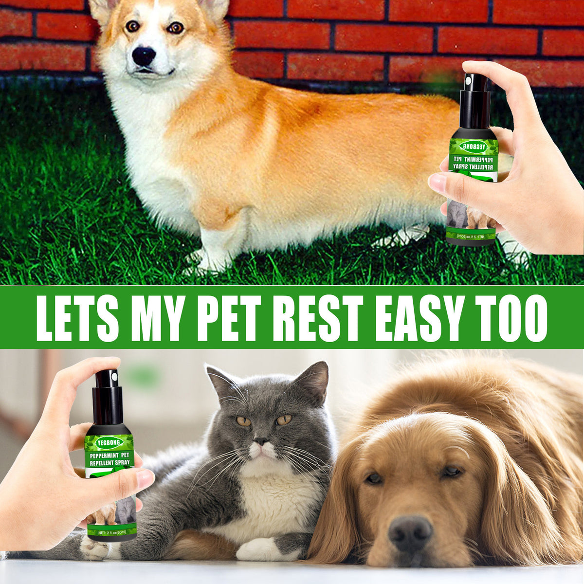 Vaporisateur anti-acariens à la menthe pour animaux, 60 ml