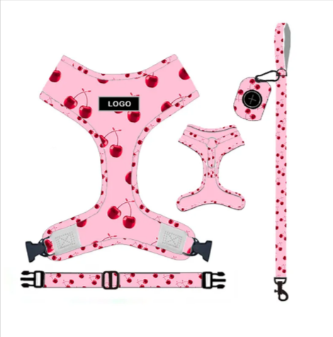 Ensemble laisse et harnais pour chien