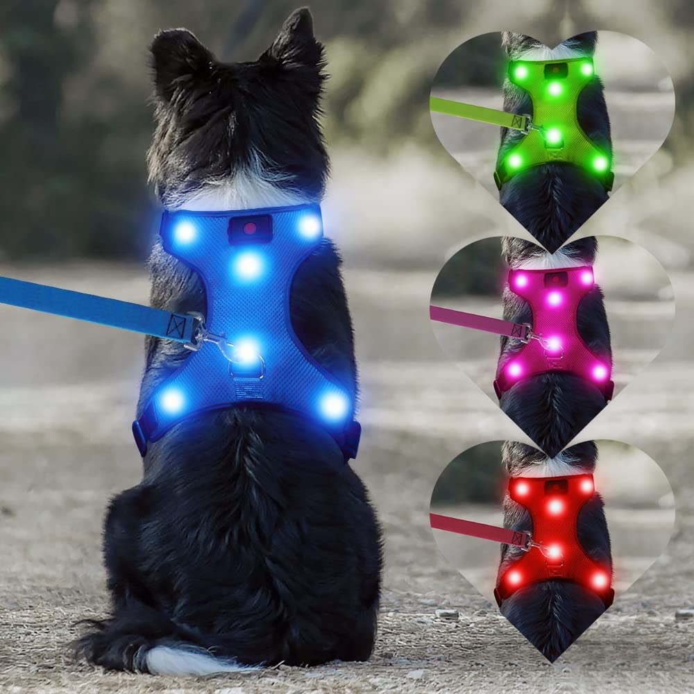 Harnais DEL rechargeable pour chien, marche de nuit